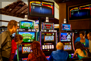 No Deposit Casino Bonuses & Free Spins For Model New Players On-line Gambling Forum